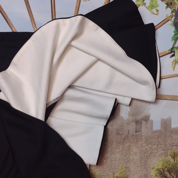 TORN by Ronny kobo asymmetrical ruffled skirt size small - Picture 4 of 6